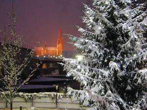 Beleuchteter Christbaum im Vordergrund, im Hintergrund ist der Regensburger Dom zu sehen